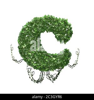 Lettre C créée de feuilles d'ivy vert - isolée sur fond blanc - illustration 3D Banque D'Images