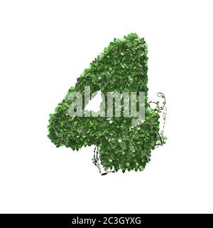 Numéro 4 créé de feuilles de lierre verte - isolé sur fond blanc - illustration 3D Banque D'Images