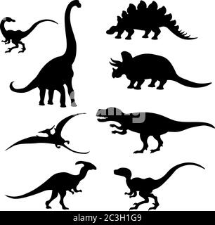 Ensemble vectoriel de différentes silhouettes de dinosaures sur un fond blanc isolé. Illustration de Vecteur