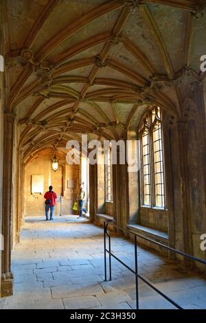 Christ Church College Cloisters Oxford, Royaume-Uni Banque D'Images