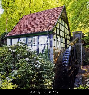 Moulin à eau historique, Bad Essen, Basse-Saxe, Allemagne, Europe Banque D'Images