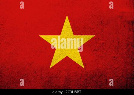 Le drapeau national de la République socialiste du Vietnam. Fond Grunge Banque D'Images