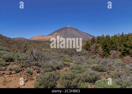 Parc national de Teide, paysage volcanique, Tenerife, îles Canaries, Espagne Banque D'Images