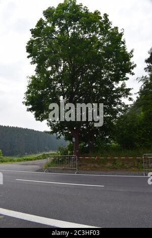 obstacles sur une route de terre Banque D'Images