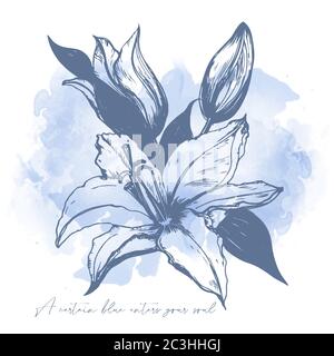 Trois lilies Fleur dessin pour carte de voeux ou imprimé pour t-shirt. Style simple vectoriel Illustration de Vecteur