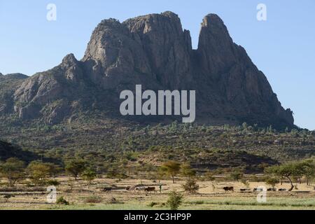 ÉTHIOPIE, Tigray, haute-terre , Adua, bataille d'Adwa a été combattu le 1er mars 1896 entre l'Empire éthiopien et l'Italie, le navire a été perdu par l'armée italienne, les champs et les rochers / AETHIOPIEN, Tigray, Hochland, Adwa, Adwa wurde durch die Schlacht von Adua 1896 bekannt, In der aethioische Truppen unter Kaiser Menelik II. Eine italienische Armee unter Oreste Baratieri in die Flucht schlugen. Burch diesen Sieg wurde der Versuch Italiens verhindert, Aethioien als Kolonie zu beherrschen Banque D'Images