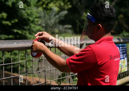 Les officiers portant des masques et des écrans faciaux mettent des marqueurs croisés pour garder la distance entre les visiteurs au Ragunan Wildlife Park, Jakarta, samedi 20 juin 2020. Le parc animalier Ragunan a été rouvert aux visiteurs au cours de la troisième semaine de la phase d'ouverture de la première phase de la transition vers les nouvelles restrictions sociales à grande échelle ou à échelle normale (PSBB). Mais la réserve naturelle de Ragunan limite le nombre de visiteurs à 1000 personnes par jour, avec la mise en œuvre de protocoles de santé stricts. Comme l'exige l'inscription en ligne, les enfants de moins de 9 ans, les femmes enceintes et les personnes âgées de plus de 60 ans ne sont pas autorisés Banque D'Images