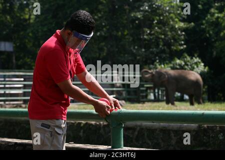 Les officiers portant des masques et des écrans faciaux mettent des marqueurs croisés pour garder la distance entre les visiteurs au Ragunan Wildlife Park, Jakarta, samedi 20 juin 2020. Un certain nombre d'aires de loisirs et de zoos dans la capitale de Jakarta ont été rouverts pour les visiteurs au cours de la troisième semaine de la phase d'ouverture de la première phase des nouvelles restrictions sociales à grande échelle normales ou transitoires (PSBB). Mais la réserve naturelle de Ragunan limite le nombre de visiteurs à 1000 personnes par jour, avec la mise en œuvre de protocoles de santé stricts. (Photo de Kuncoro Widyo Rumpoko/Pacific Press) Banque D'Images