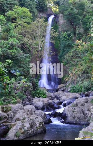 La chute d'eau Gitgit est une cascade sur Bali, en Indonésie. La cascade Gitgit est composée de trois cascades de différentes hauteurs. Banque D'Images