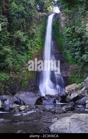 La chute d'eau Gitgit est une cascade sur Bali, en Indonésie. La cascade Gitgit est composée de trois cascades de différentes hauteurs. Banque D'Images