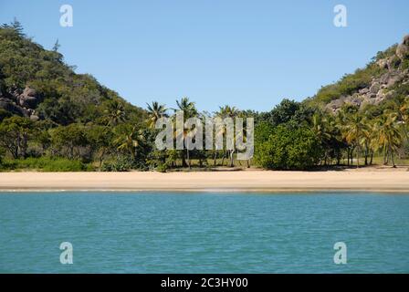 Plage bordée de palmiers et de mer à radical Bay, vue depuis un bateau au large de Magnetic Island, Queensland, Australie Banque D'Images