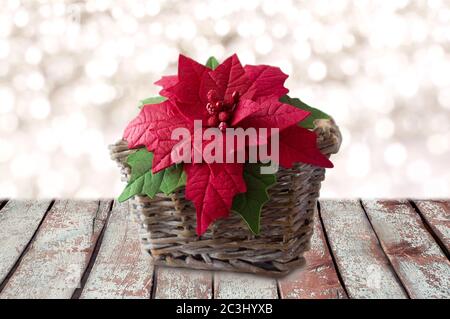 Poinsettia dans un panier. Fleur fait main mousse tissu-Iran. Fleurs artificielles faites de caoutchouc mousse. Banque D'Images