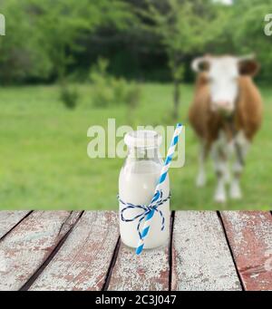 Bouteille de lait avec de la paille. Le lait de vache donnant sur une prairie de pâturage avec des vaches. Banque D'Images