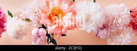 Pivoines prises par le haut Banque D'Images