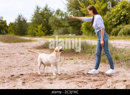 Femme donnant un commandement à son chien obéissant Banque D'Images