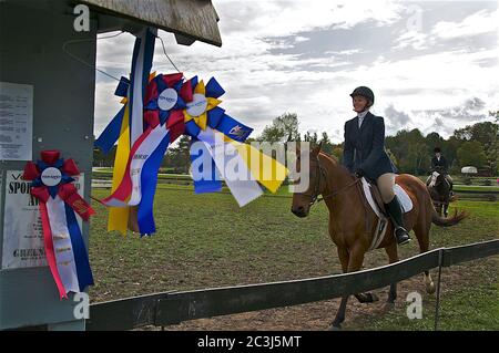 Orangeville, Ontario / Canada - 10/03/2009: Prix du ruban pour un événement équestre avec l'équitation du cheval de sport pendant le spectacle de dressage Banque D'Images