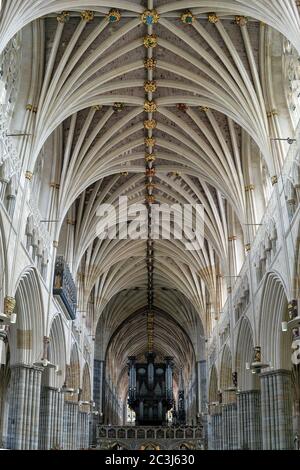 Chambre quadripartite avec chambres à côtes Tierceron de la cathédrale d'Exeter. Le plus long plafond voûté médiéval continu et ininterrompu du monde. Banque D'Images