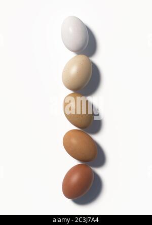 Cinq œufs de poulet multicolores se trouvent sur un fond blanc. Vue de dessus. Rendu 3D. Banque D'Images