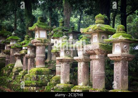 Rangées de pierre ancienne et lanternes en bois couvertes de mousse. Nara, Japon Banque D'Images