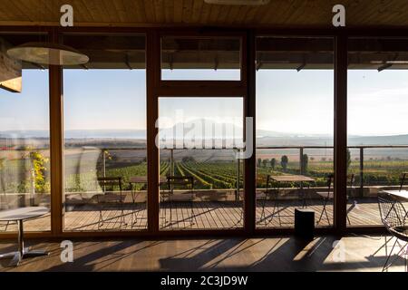 Vignoble vert magnifique avec les montagnes du Devin et de la Palava en arrière-plan sur les rives du réservoir d'eau de Nove Mlyny près de Pavlov, Moravie du Sud, Tchéquie Banque D'Images