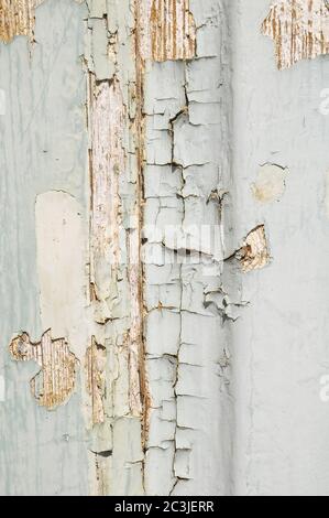 Vintage porte bois peint Peeling texture sur une Sunny Day Banque D'Images