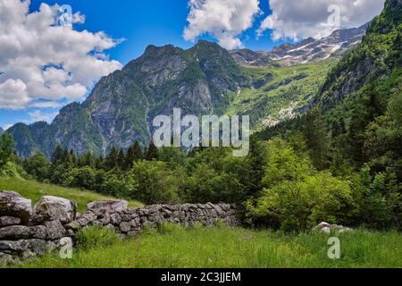 Val Masino dans le paysage des Alpes de Valtellina, Lombardie, Italie Banque D'Images