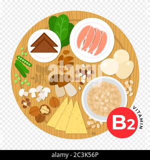 Aliments contenant des illustrations vectorielles plates de vitamine B2. Concept de régime, d'alimentation saine et de bien-être. Illustration de Vecteur