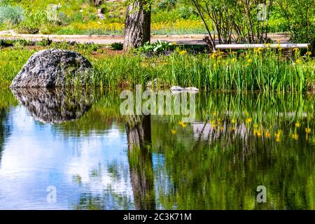 Réflexions dans l'eau de Steamboat Spring jardins botaniques. Photo de haute qualité Banque D'Images