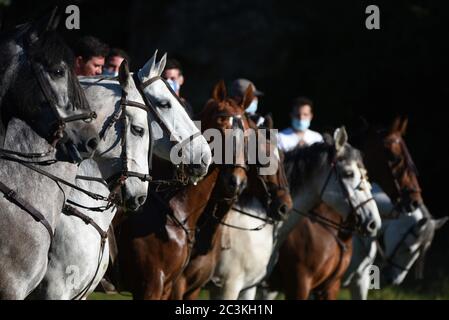 Les hommes ont pris leurs chevaux après l'annulation du Festival de San Juan en raison de la pandémie du coronavirus.ce festival est l'un des plus importants en Espagne et il est célébré chaque année au cours de la dernière semaine de juin, mais cette année, il a été suspendu en raison de la pandémie du coronavirus. Des centaines d'entre eux ont été annulés en Espagne. Parmi les plus importants, San Fermin, Las Fallas, la Tomatina et Feria de Abril. Crédit : SOPA Images Limited/Alamy Live News Banque D'Images