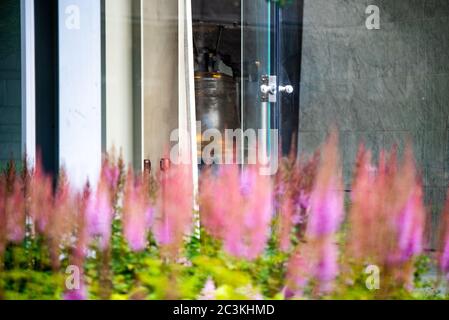 Philadelphie, PA / États-Unis. La cloche de la liberté vue à travers des fleurs roses le premier Junetdix-septième célébré comme un jour férié à Philadelphie. Juin 19 2020. Crédit: Christopher Evens Banque D'Images