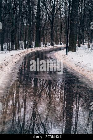 Photo verticale d'une route humide entourée d'arbres une forêt avec un sol recouvert de neige Banque D'Images