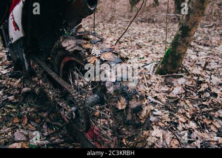 Gros plan d'un pneu de moto sale dans une forêt Banque D'Images