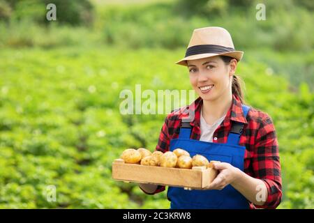 femme jardinière avec pommes de terre en caisse Banque D'Images