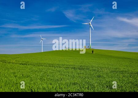 Paysage agricole avec deux éoliennes au loin Banque D'Images