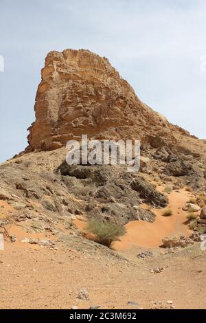 Fossil Rock est une formation de roche emblématique qui porte des fossiles marins dans les dunes de sable arides du désert à Sharjah, aux Émirats arabes Unis. Banque D'Images