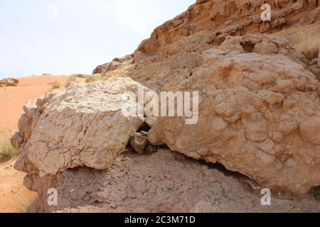 Fossil Rock est une formation de roche emblématique qui porte des fossiles marins dans les dunes de sable arides du désert à Sharjah, aux Émirats arabes Unis. Banque D'Images