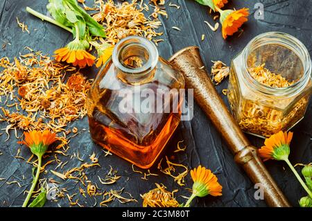 Teinture médicinale de fleurs de calendula, herbes médicinales sauvages. Banque D'Images