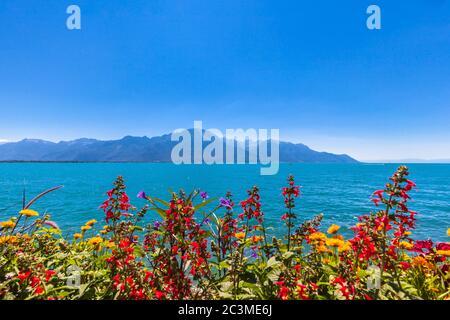 Belle vue sur les Alpes, le lac de Genève depuis Montreux avec des fleurs colorées en premier plan lors d'une journée ensoleillée d'été, canton de Vaud, Suisse Banque D'Images