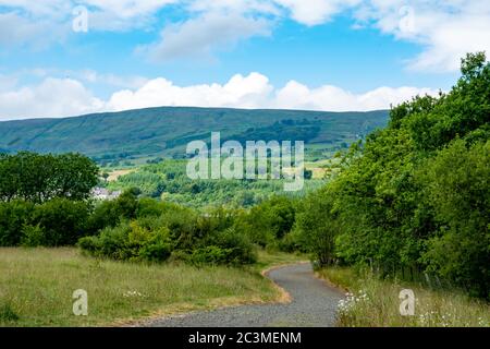 En regardant vers le nord-ouest depuis Dumbreck Marsh vers les collines des Cams de CAMPSIE près de Kilsyth, en Écosse Banque D'Images