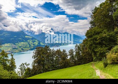 Vue imprenable sur le lac Walensee (Walen) et les Alpes sur le sentier de randonnée avec de l'herbe verte en premier plan du côté nord du lac, canton de Saint Gall Banque D'Images