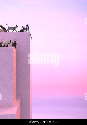 Beaucoup de chats errants marchant sur le toit de bâtiment rose sur un fond de coucher de soleil rose et violet. Illustration verticale avec espace de copie. Rendu 3D Banque D'Images