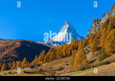 Vue imprenable sur le célèbre sommet du Cervin des Alpes suisses depuis la vallée de Zermatt, le jour ensoleillé de l'automne, avec des arbres dorés et de l'herbe en premier plan, Valais, S. Banque D'Images