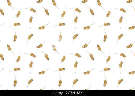 Motif de pain de blé Vector orge plante seigle avoine saine alimentation agricole texture sans couture. Illustration graphique. Illustration de Vecteur