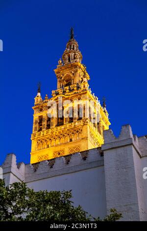 Le clocher de la Giralda (la Giralda) de la cathédrale de Séville la nuit, Séville, Espagne Banque D'Images