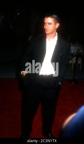 Burbank, Californie, États-Unis 18 octobre 1995 l'acteur Dermot Mulroney assiste à la première de Warner Bros. Pictures 'copycat' le 18 octobre 1995 aux studios Warner Bros à Burbank, Californie, États-Unis. Photo par Barry King/Alay stock photo Banque D'Images