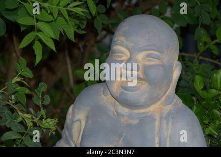 portrait d'un bouddha en pierre dans un rosier vert Banque D'Images