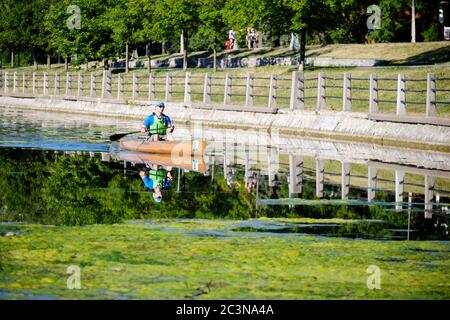 Ottawa, Canada. 21 juin 2020. Avec un trafic plus faible que d'habitude, une algue verte s'accroît sur le canal Rideau, au centre de la ville. La récolte d'algues pourrait être le résultat d'une combinaison de facteurs tels que des températures plus chaudes et une circulation plus faible des bateaux en raison de la pandémie en cours avec la réouverture du canal il y a trois semaines. Les fleurs, qui sont des algues filamenteuses vertes, ne sont pas toxiques et sont principalement un problème esthétique à ce stade. Credit: Meanderingemu/Alamy Live News Banque D'Images