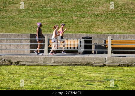 Ottawa, Canada. 21 juin 2020. Coureurs sur le chemin à côté du canal Rideau. Avec un trafic plus faible que d'habitude, une algue verte s'accroît sur le canal Rideau, au centre de la ville. La récolte d'algues pourrait être le résultat d'une combinaison de facteurs tels que des températures plus chaudes et une circulation plus faible des bateaux en raison de la pandémie en cours avec la réouverture du canal il y a trois semaines. Les fleurs, qui sont des algues filamenteuses vertes, ne sont pas toxiques et sont principalement un problème esthétique à ce stade. Credit: Meanderingemu/Alamy Live News Banque D'Images