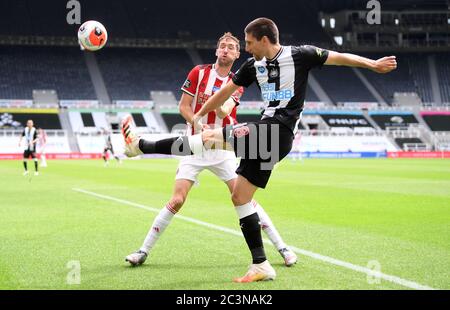 Federico Fernandez (à droite) de Newcastle United et Chris Basham (à gauche) de Sheffield United se battent pour le ballon lors du match de la Premier League à St James' Park, Newcastle. Banque D'Images