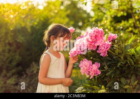 Petite fille dans le jardin avec des pivoines roses. Soirée d'été dans le jardin. Banque D'Images